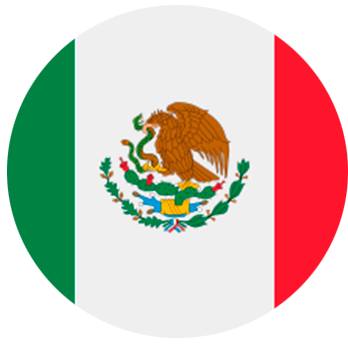 mx flag